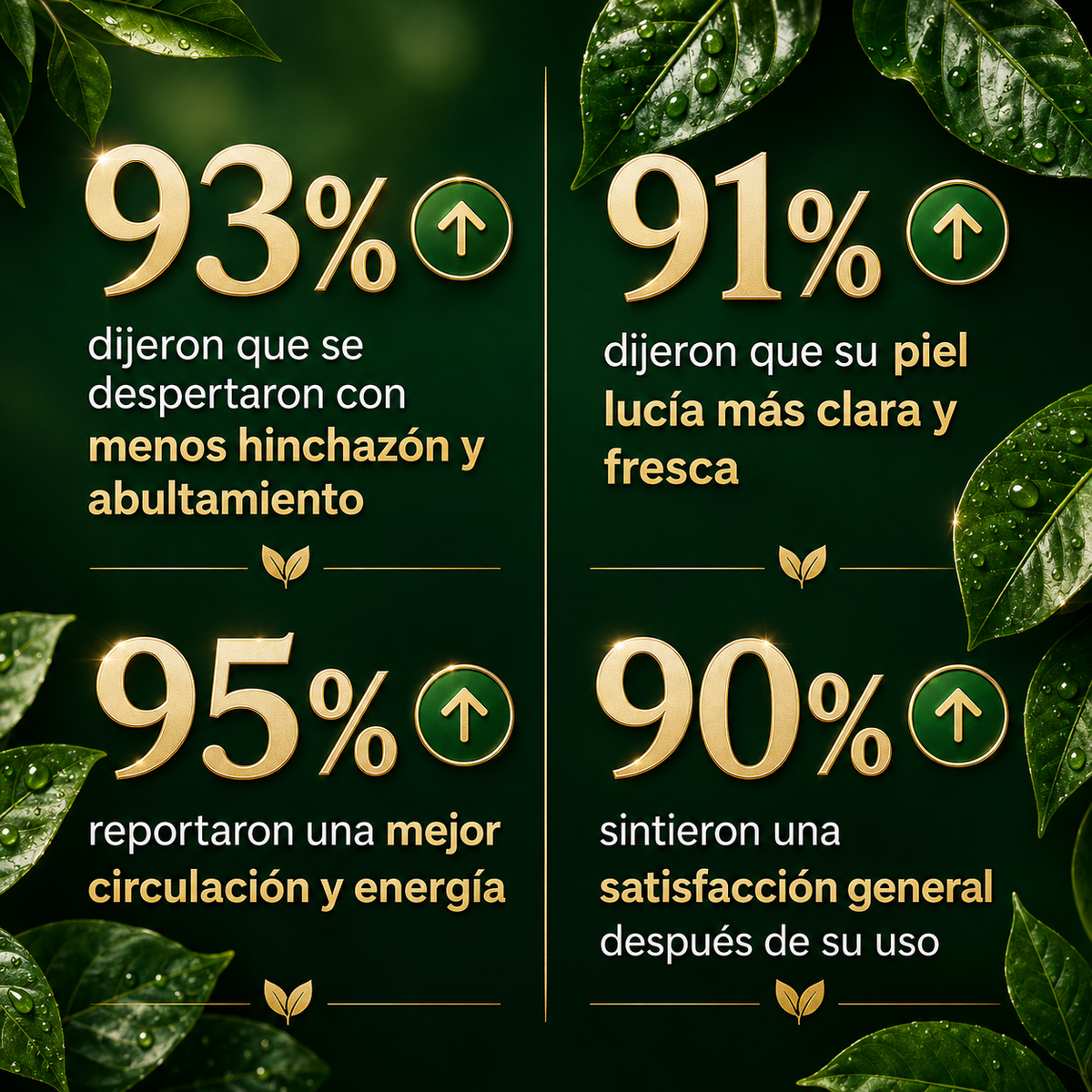 My Drenaje solution™ | Drena Naturalmente