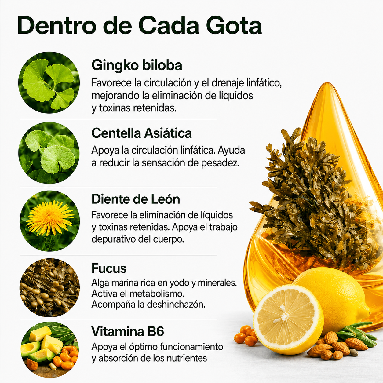 OnyVera™ | Drena Naturalmente la Hinchazón del Rostro, Abdomen y Piernas