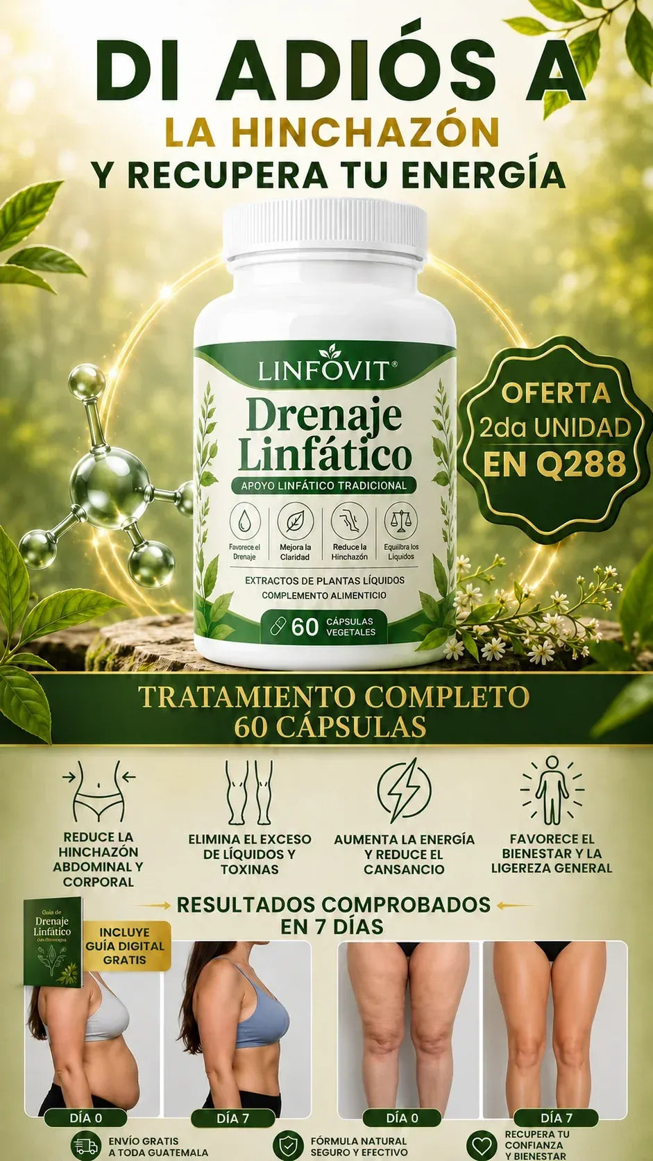 Linfovit™| Soporte Metabólico